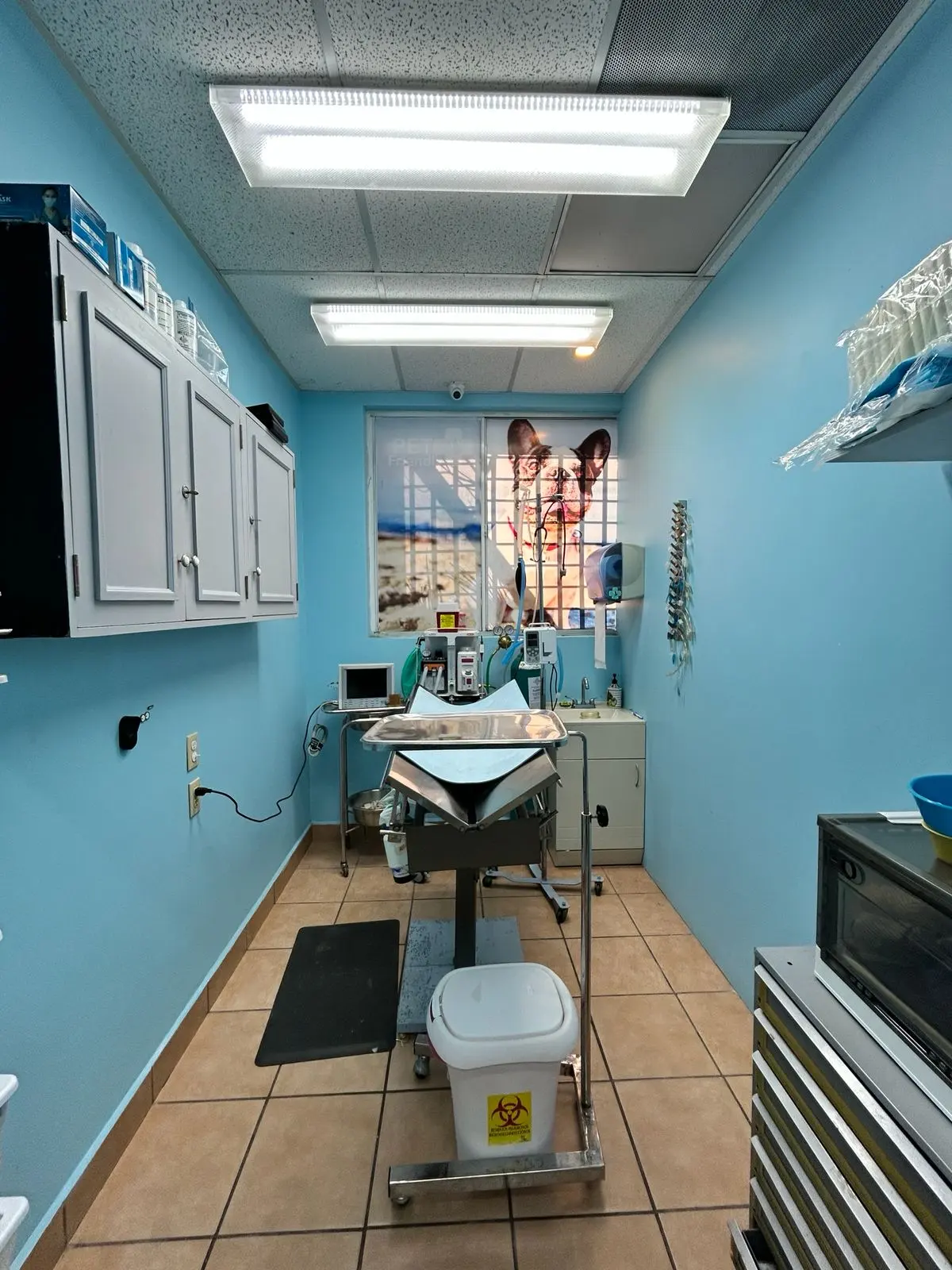 CEMEDICAVET Pet Friendly - Veterinary Clinic