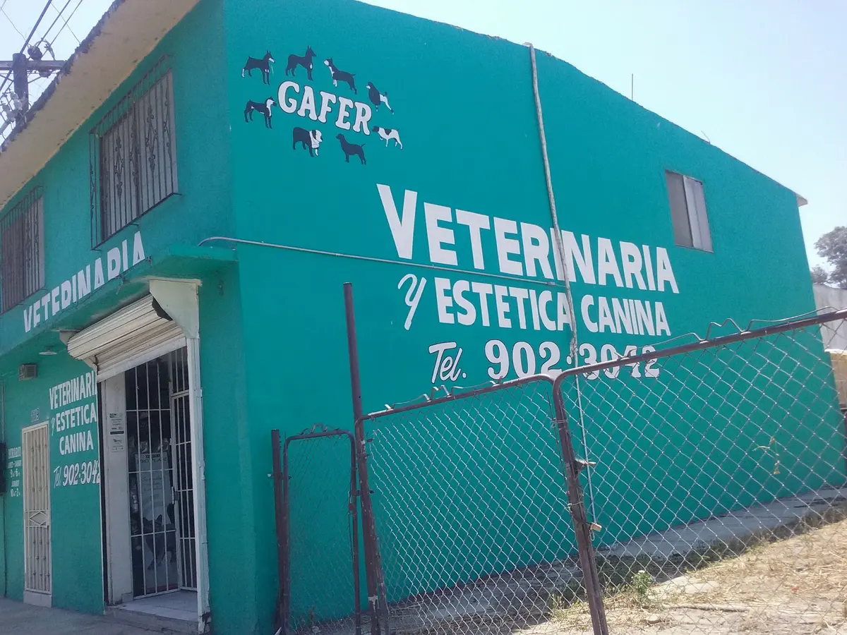 Clínica Veterinaria y Estética Canina GAFER
