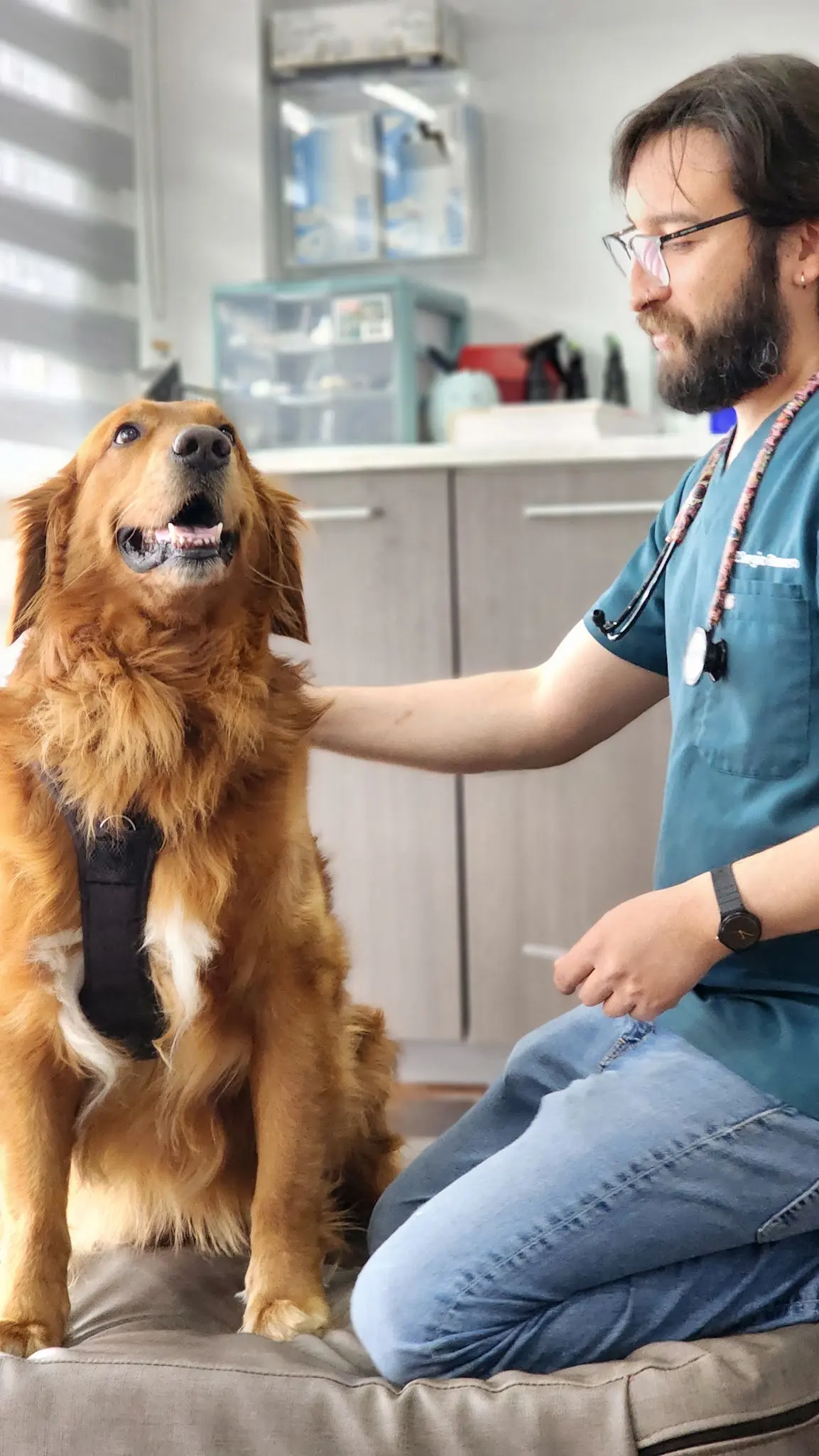 DOC PERRO Clínica Veterinaria ®️ — foto 3 de 3