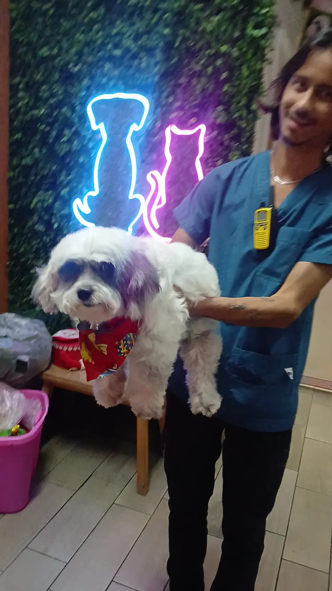 Medical Pet — foto 2 de 3