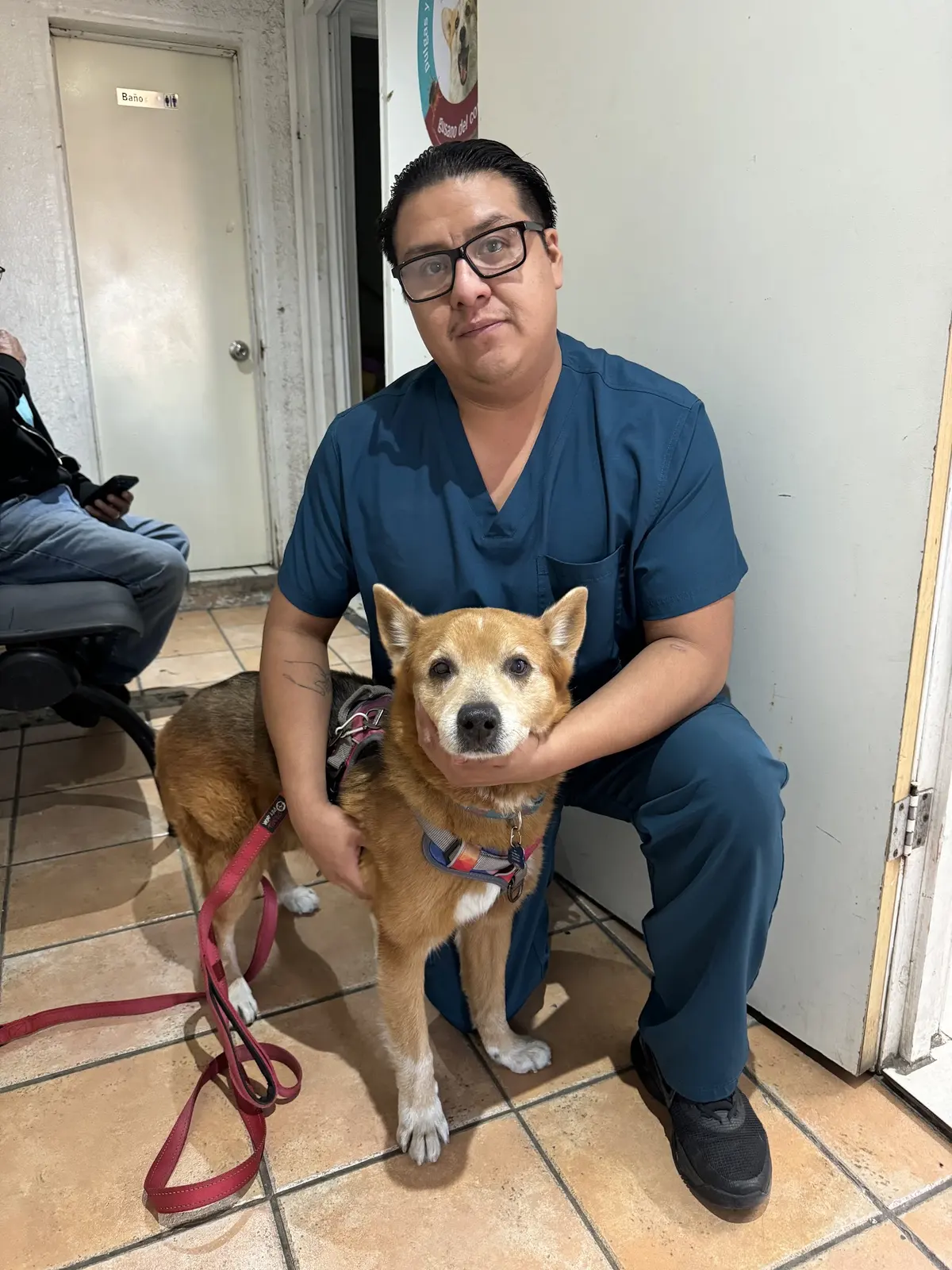 VETERINARIA LOS ALAZANES — foto 2 de 3