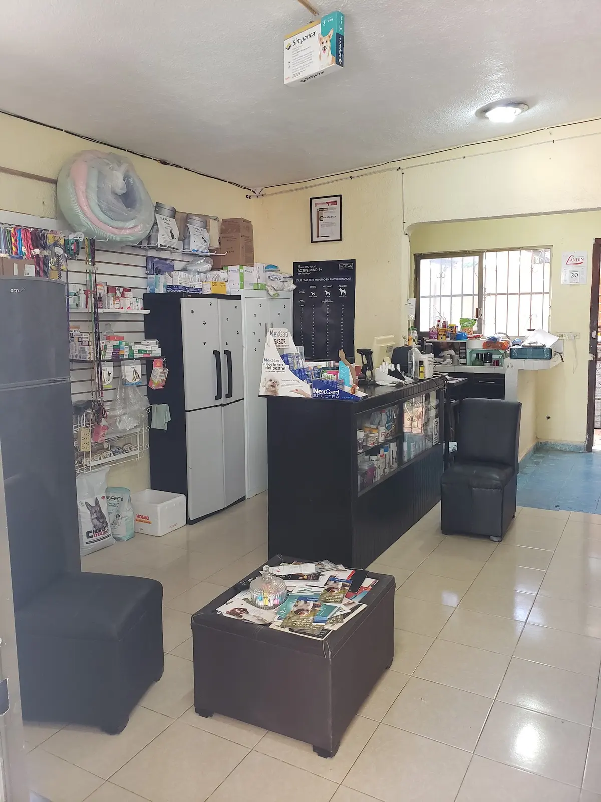 Clinica Veterinaria central — foto 3 de 3