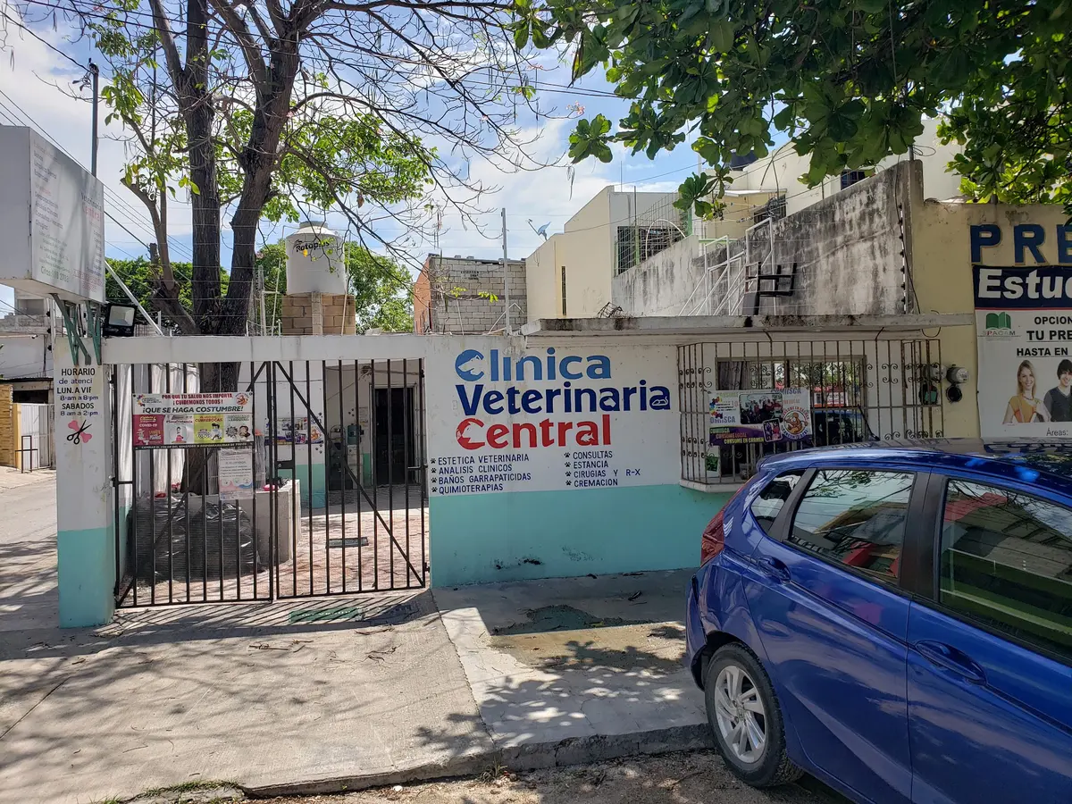 Clinica Veterinaria central
