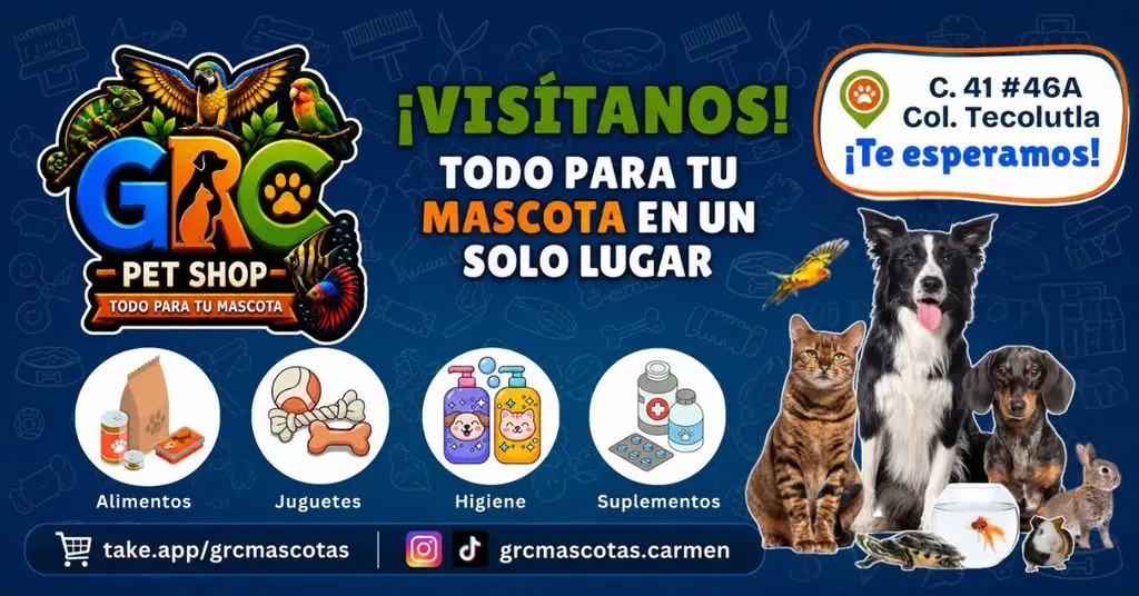 GRC Mascotas Carmen — foto 2 de 4