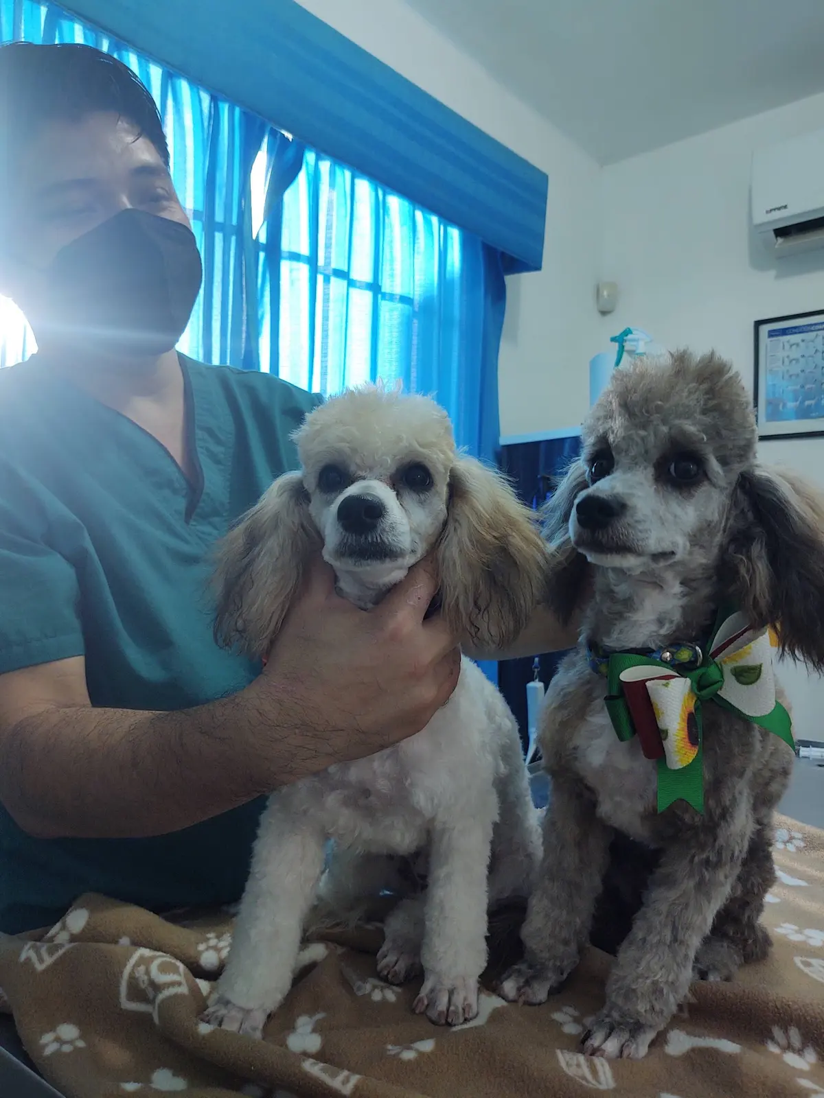 MiCan VET Centro Médico