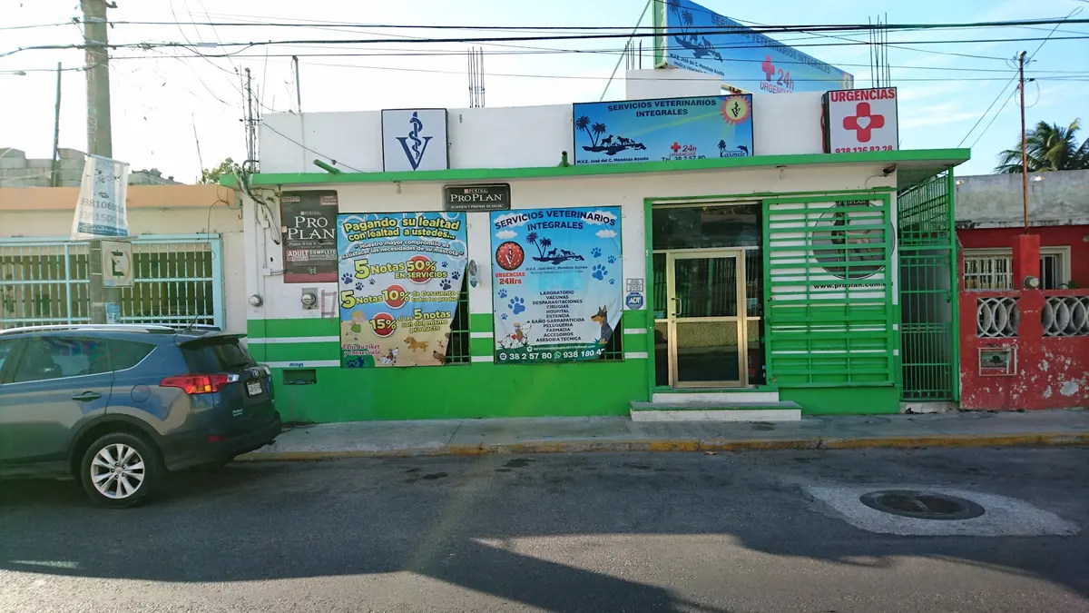 Servicios Veterinarios Integrales