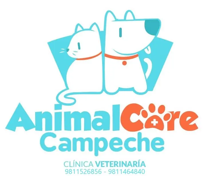 Animal Care