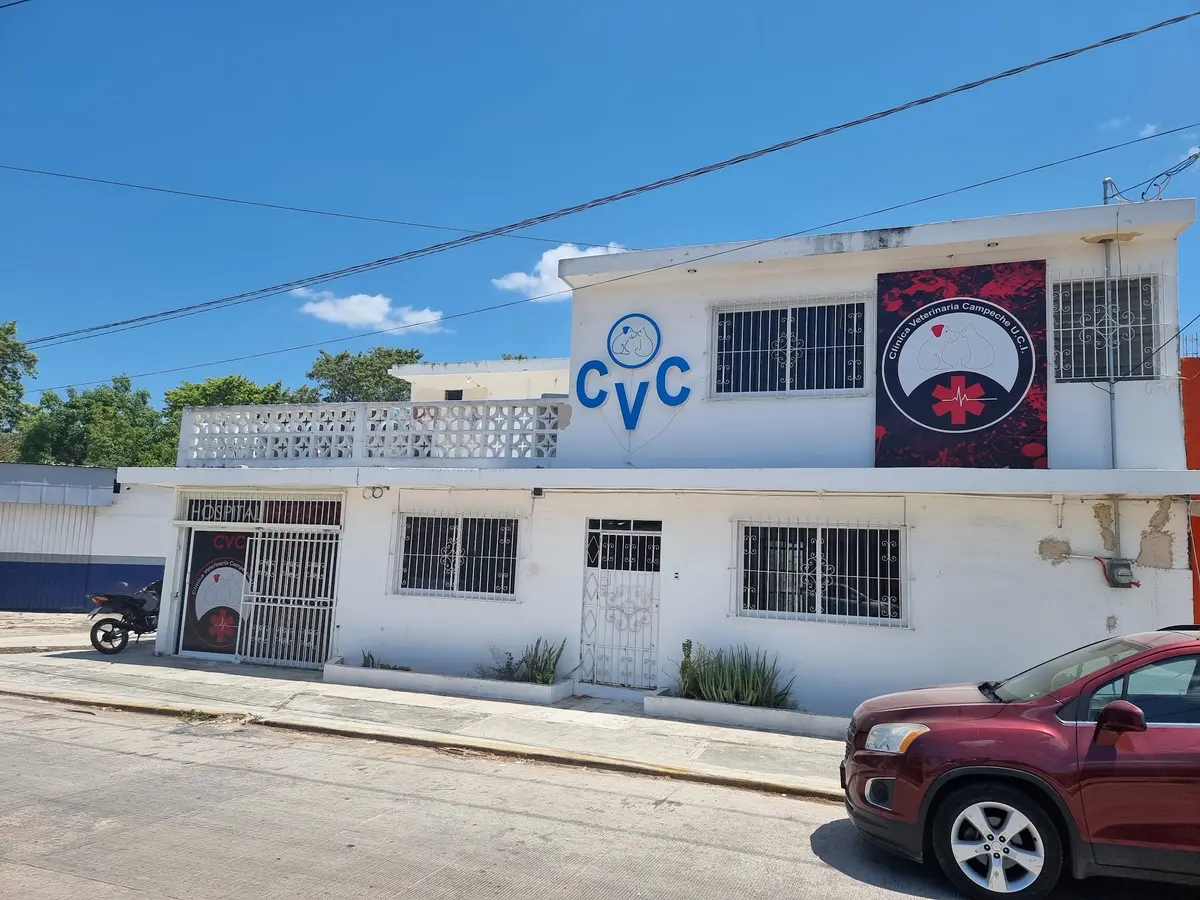 Clínica Veterinaria Campeche (CVC)