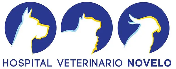 HOSPITAL VETERINARIO NOVELO