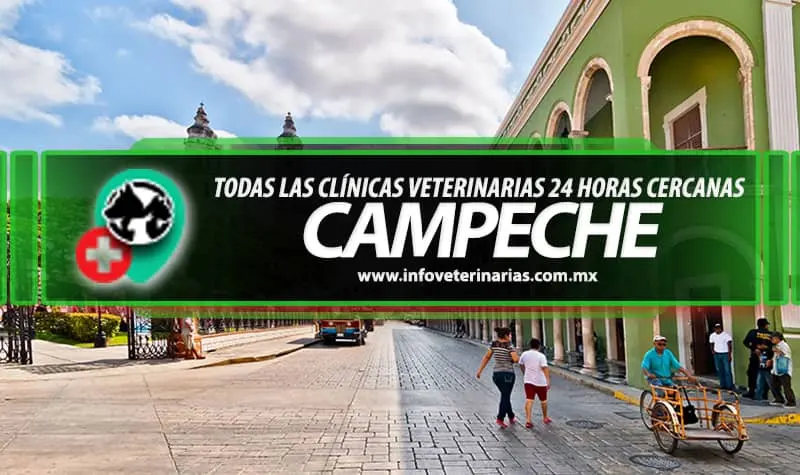 Unidad Veterinaria Campeche
