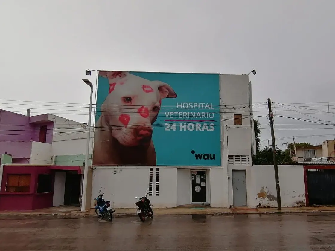 Wau Hospital Veterinario