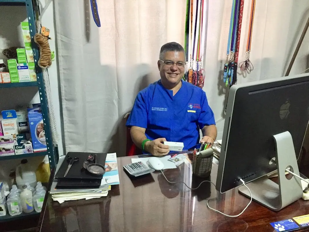CLÍNICA Y ESTÉTICA VETERINARIA K-NINO