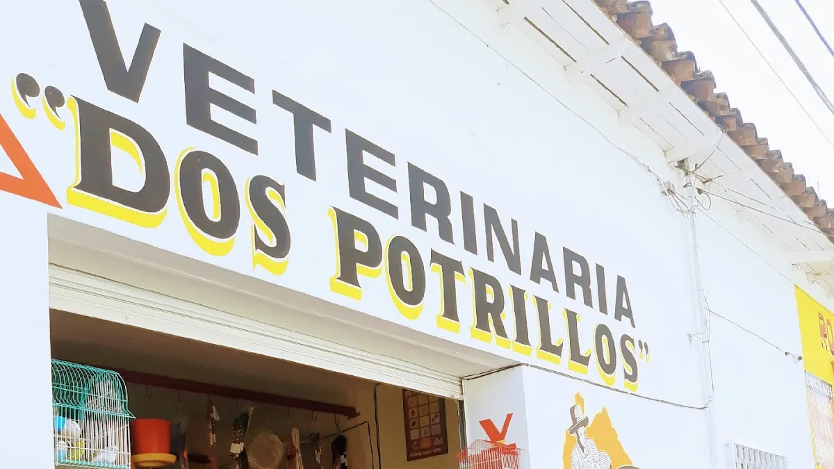 Veterinaria dos potrillos
