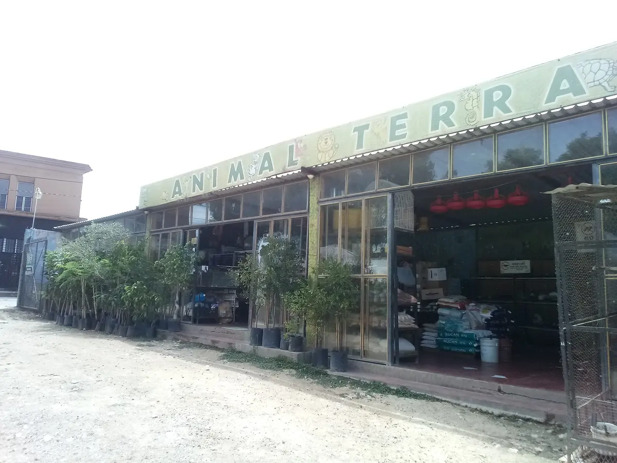 Animal Terra