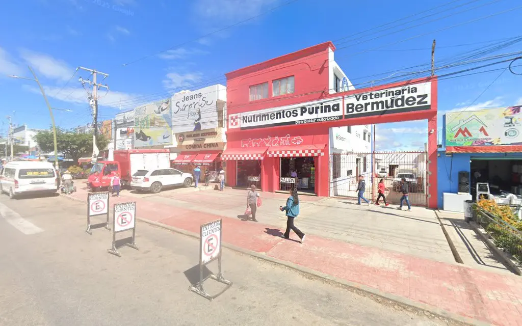 Veterinaria Bermudez