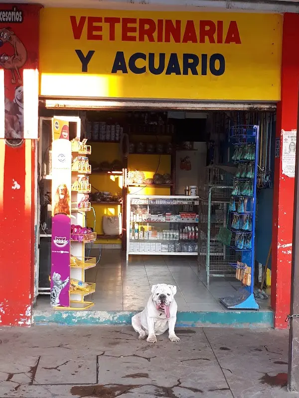 Clinica Veterinaria CatDog y Acuario CatDog