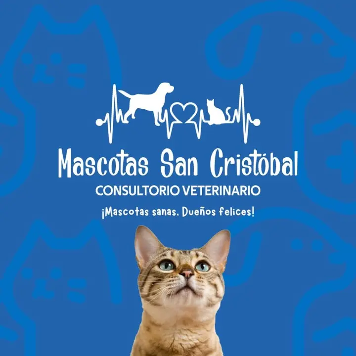 Veterinaria Mascotas San Cristóbal