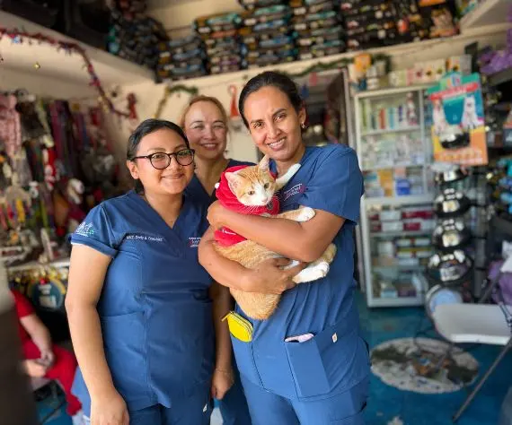 Clínica Veterinaria Kennel