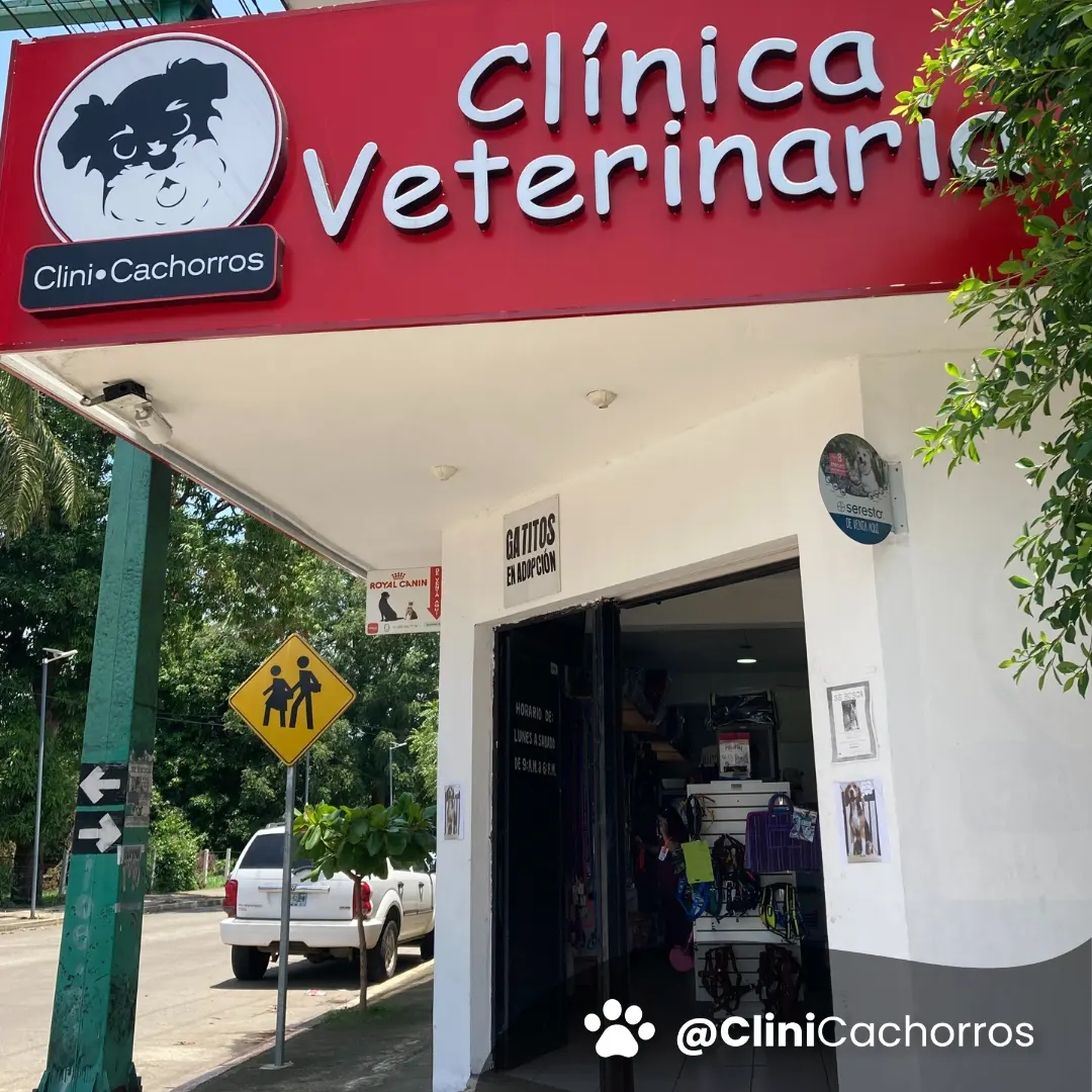 CliniCachorros Norte