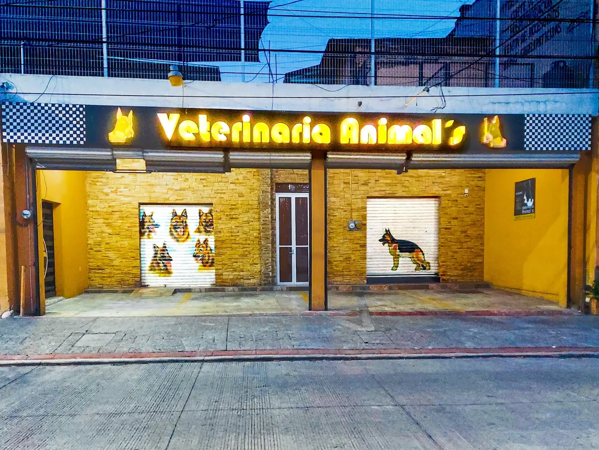 VETERINARIA ANIMALS