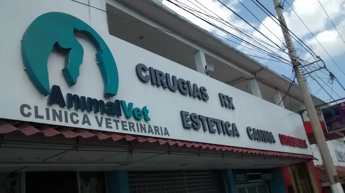 AnimalVet Clínica Veterinaria
