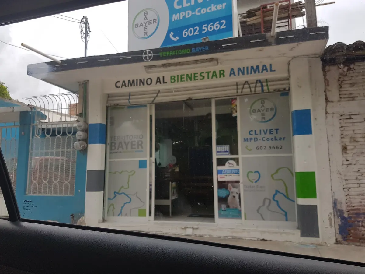 Cli Vet Mi Pequeño Dragón
