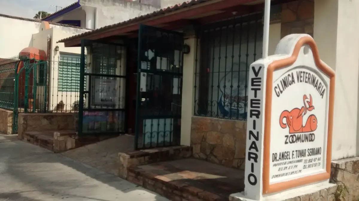 Clínica Veterinaria Zoomundo