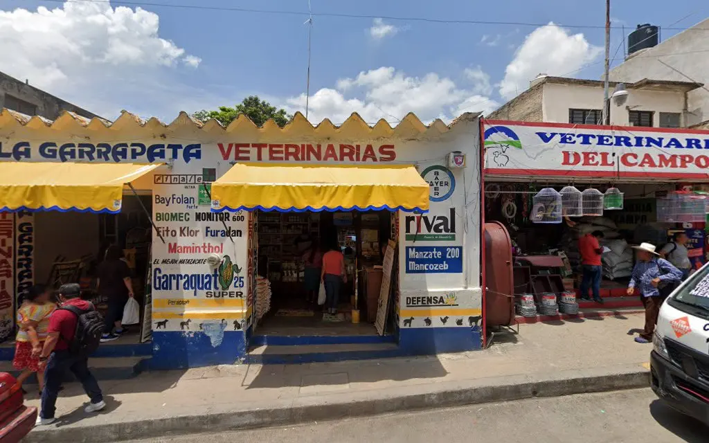 La Garrapata