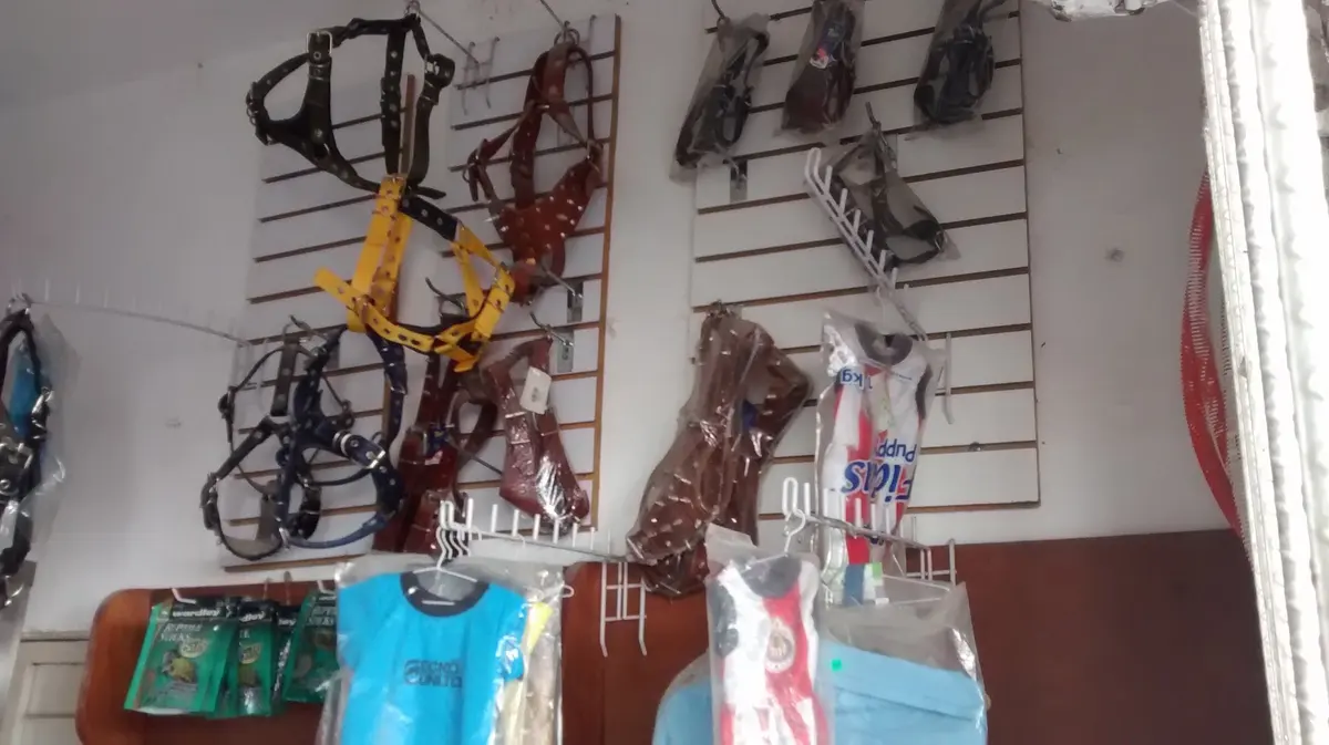 Veterinaria y Estética Canina Del Carmen