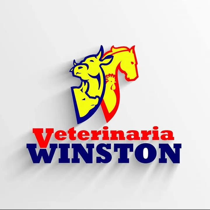 Veterinaria Winston KM3