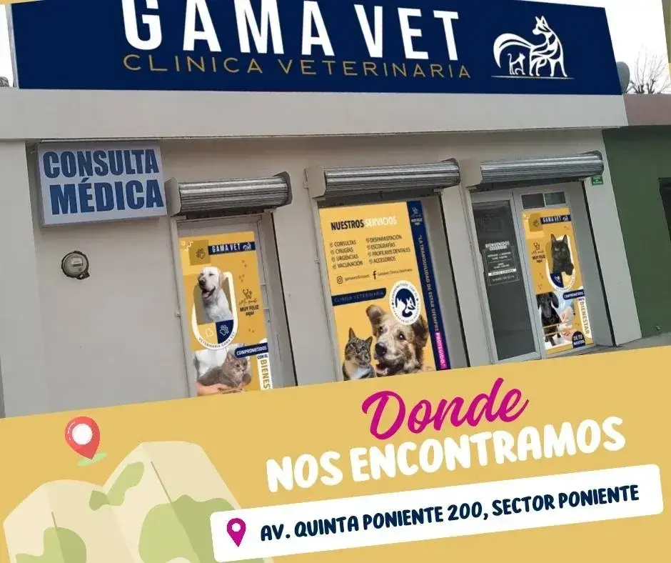Clinica Veterinaria GAMAVET — foto 2 de 4