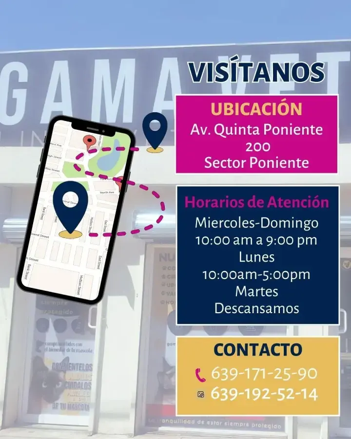 Clinica Veterinaria GAMAVET — foto 4 de 4