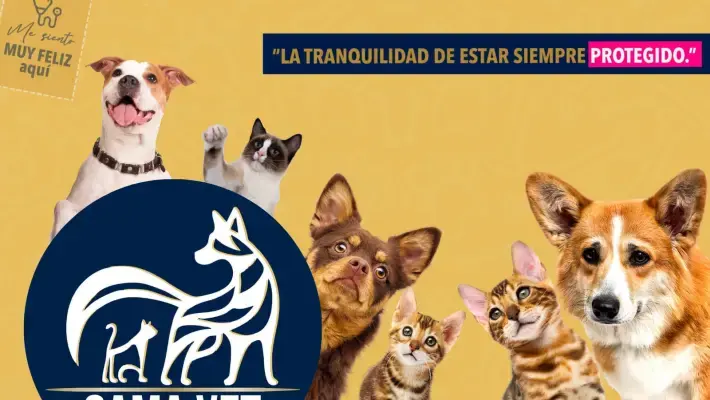 Clinica Veterinaria GAMAVET — foto 1 de 4