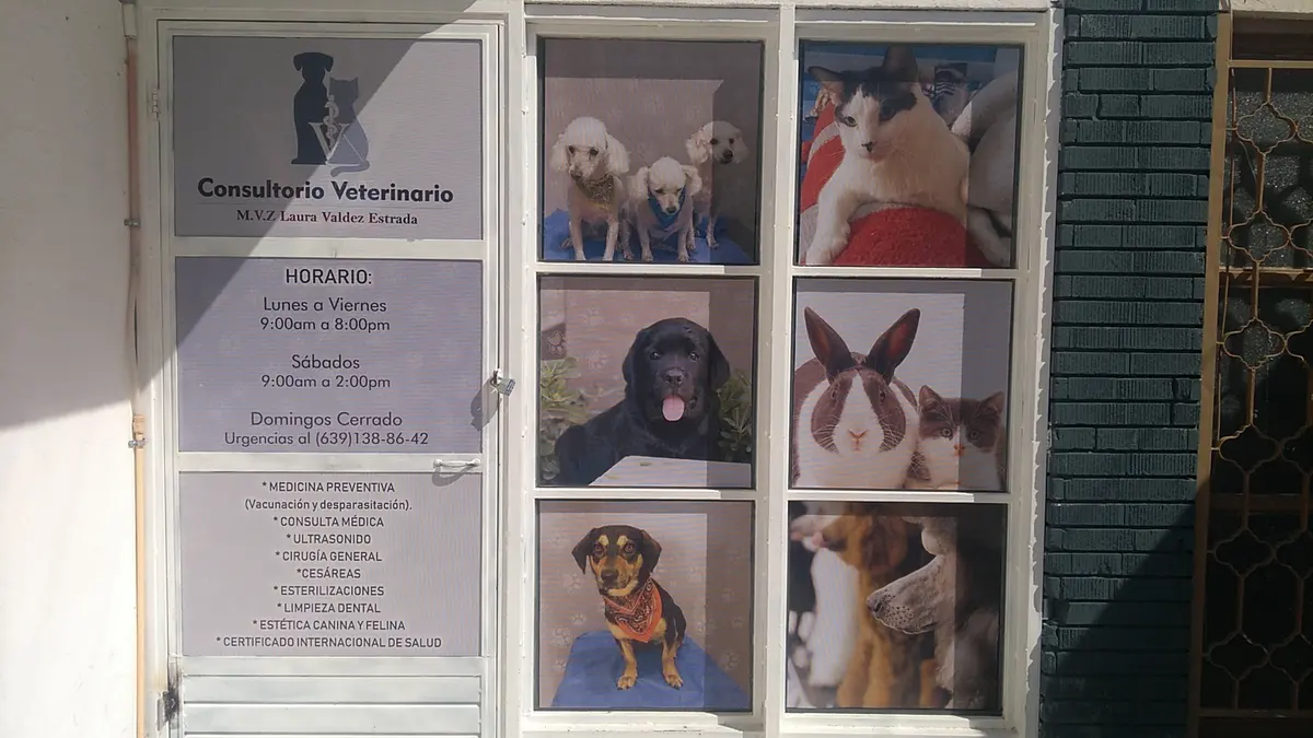 Consultorio Veterinario Dra. Laura Valdez — foto 3 de 3