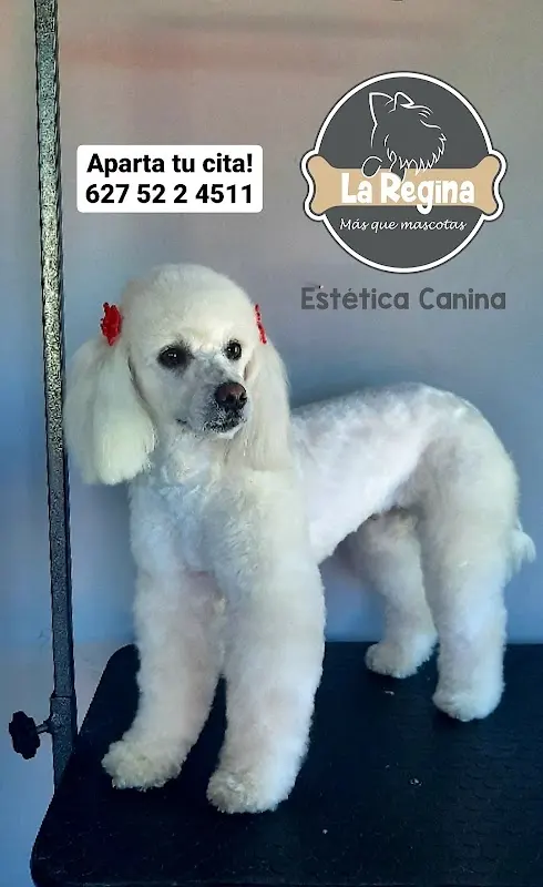 Farmacia Veterinaria y Estética Canina "La Regina"