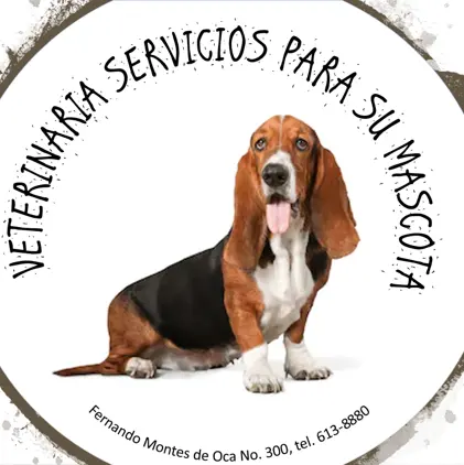 Clinica Veterinaria