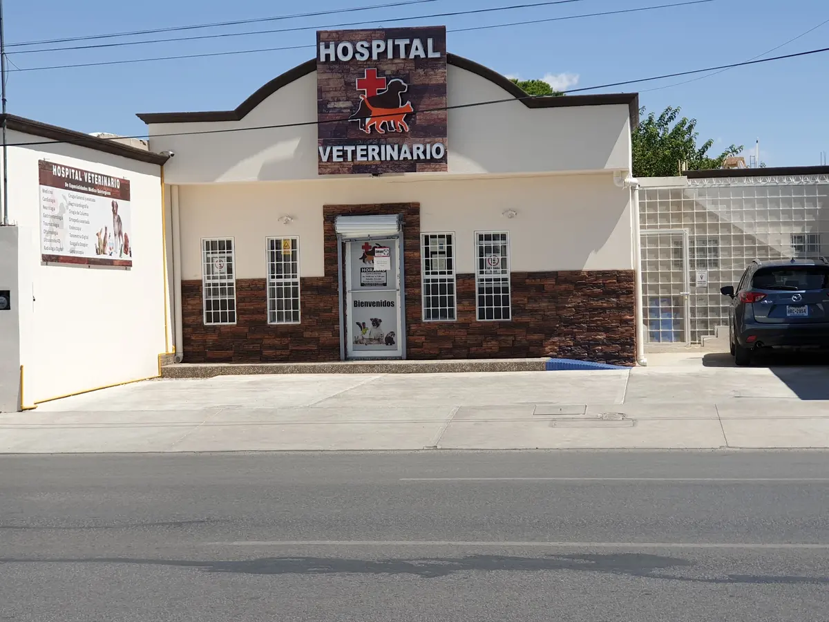 HOSPITAL VETERINARIO De Especialidades Medico Quirurgicas
