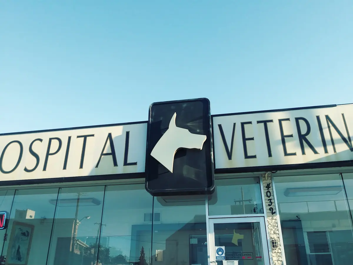 Hospital Veterinario
