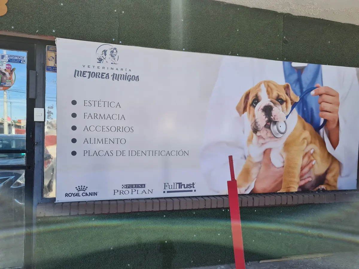 Mejores Amigos Veterinaria — foto 2 de 3