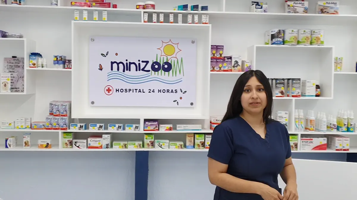 Minizoo HOSPITAL VETERINARIO 24 HORAS — foto 2 de 3