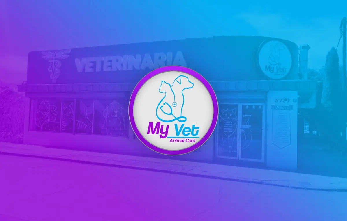 My Vet Animal Care