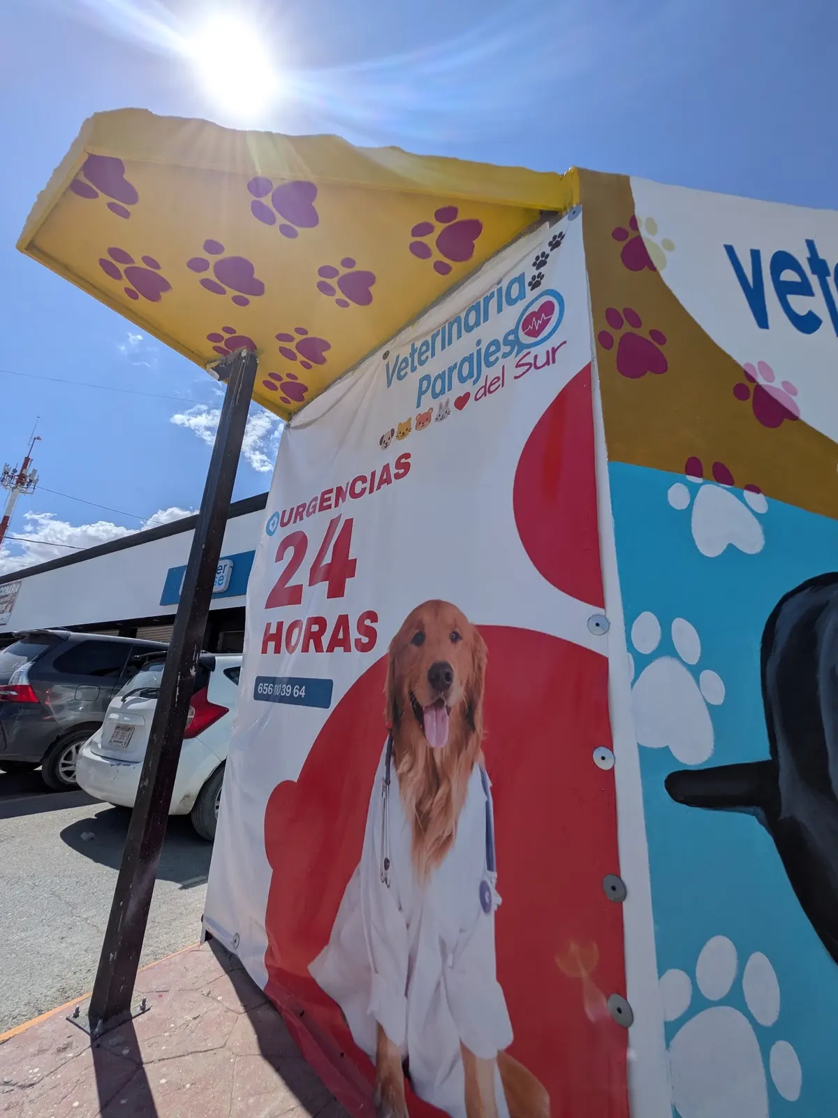 Veterinaria 24 horas Parajes del Sur — foto 2 de 2