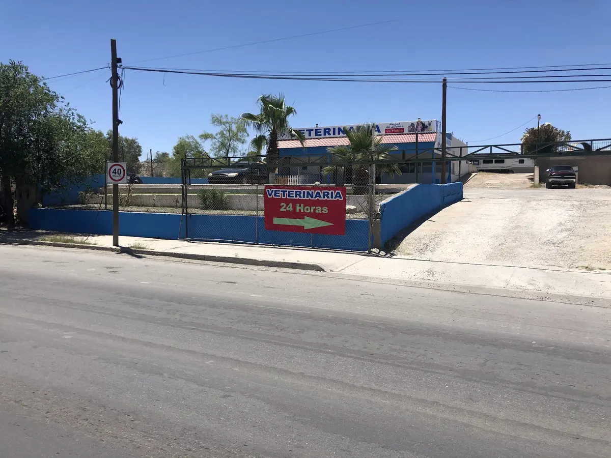Veterinaria Ángel de Juárez 24 horas