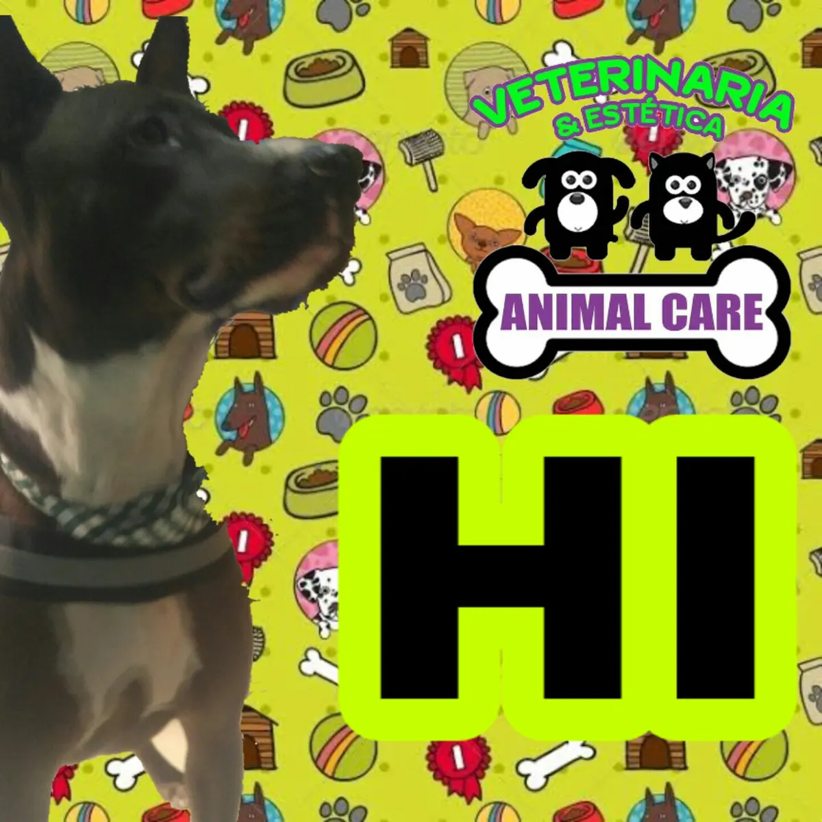 Veterinaria Animal Care Juarez