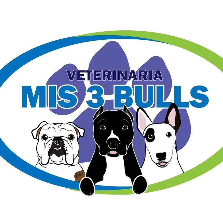 Veterinaria Mis 3 Bulls