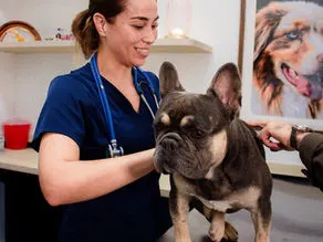 VETERINARIA PETS CARE CD. JUÁREZ — foto 3 de 4