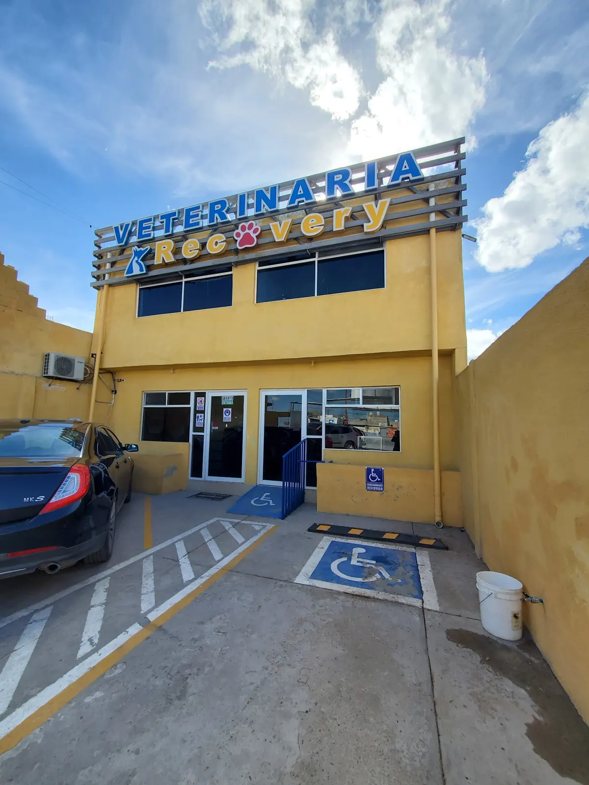 Veterinaria Recovery