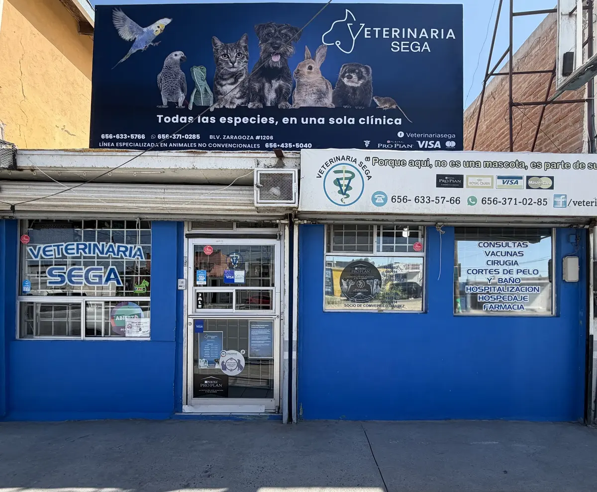 Veterinaria SEGA