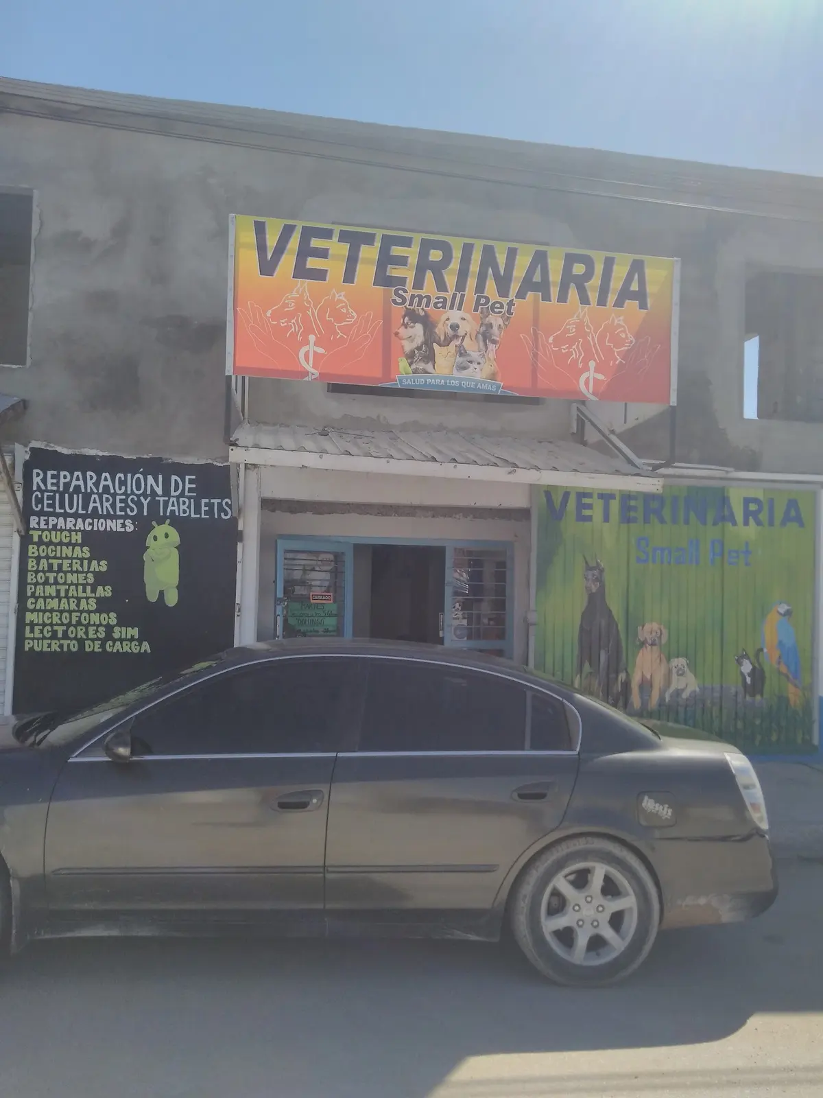 Veterinaria Small Pet