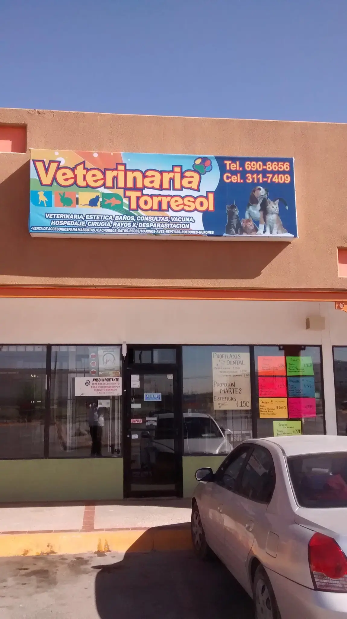 Veterinaria Torresol